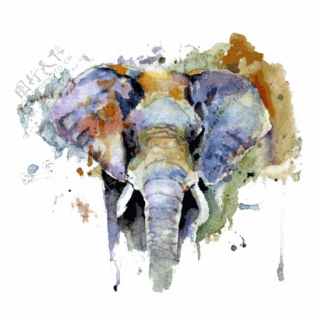印花矢量图T恤图案插画动物大象免费素材