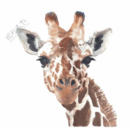 印花矢量图T恤图案可爱动物长颈鹿色彩免费素材