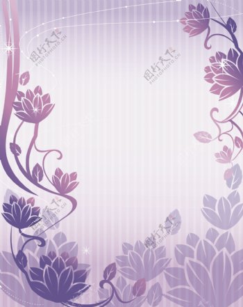 紫荷荷花图