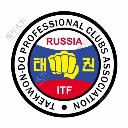 跆拳道专业俱乐部协会俄罗斯