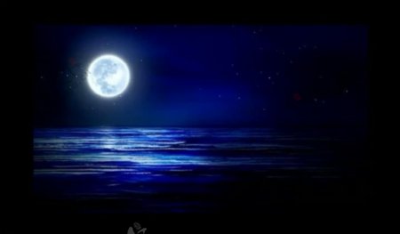 夜晚月光视频素材图片