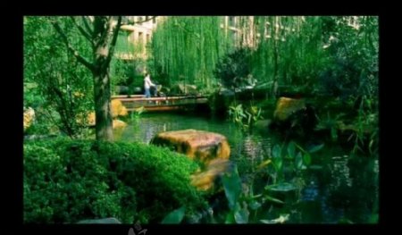 绿树小溪视频素材图片