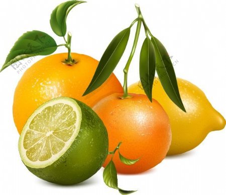 像素水果橘子橙子柠檬合集