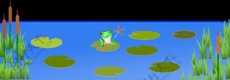在蓝色的池塘里的青蛙