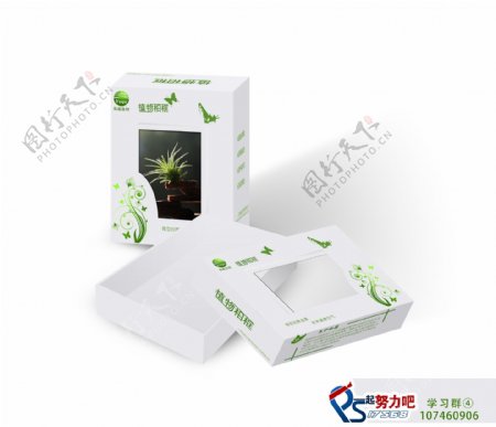 植物相框包装图片