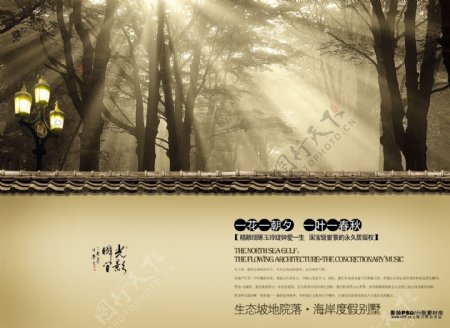 psd源文件中国风山峦练瑜伽光线阳光树林