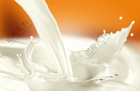 食品牛奶动态