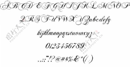 chopinscript字体