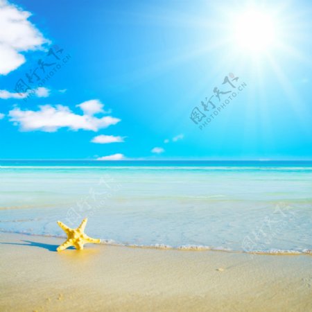 蓝天白云海洋沙滩海星图片