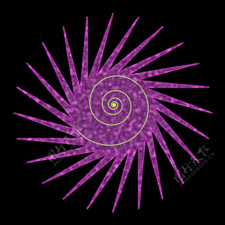 spiral024
