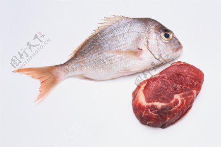 鱼肉图片