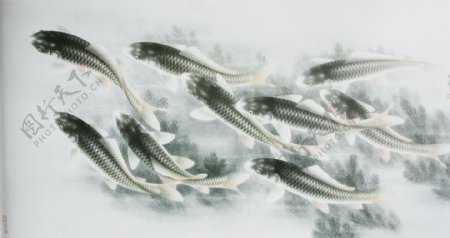 路雨年工笔鱼类选集图片