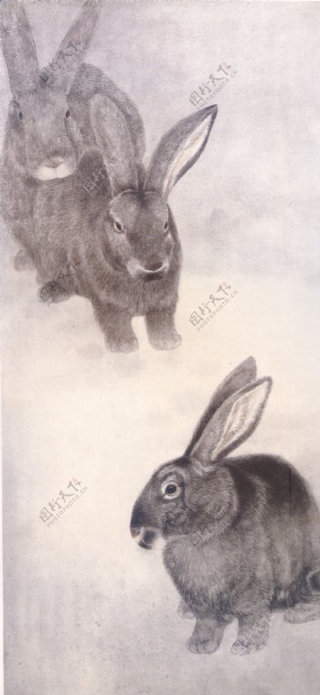 生肖兔国画13