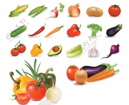 各种新鲜蔬菜矢量图片