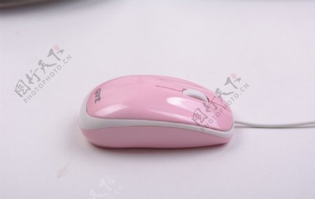 粉色鼠标图片