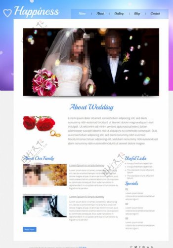 欧美婚纱摄影网站模板图片