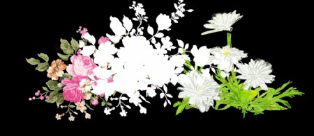手绘花朵白色图片