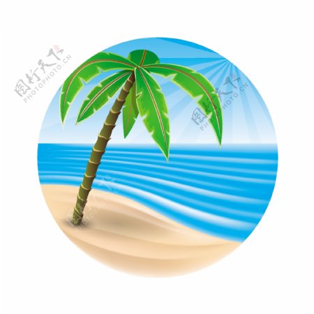 海岛椰子树夏季旅游图片