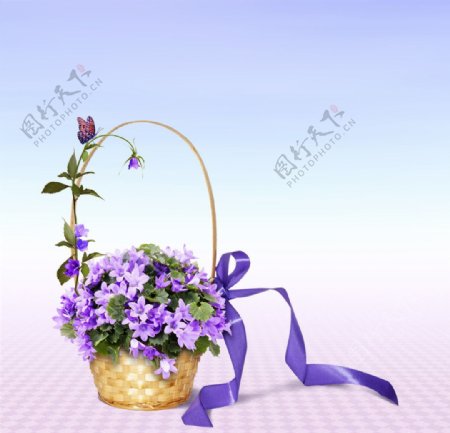 紫色婚礼花篮图片