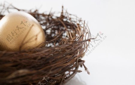 复活节金蛋图片