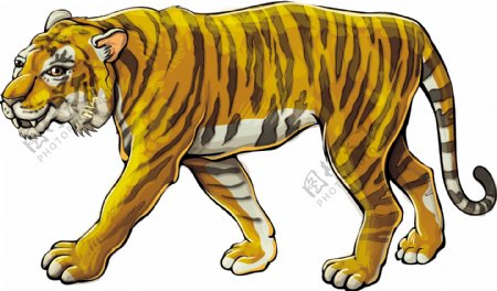 老虎卡通动物设计动画图片