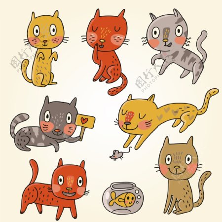 小猫猫咪宠物CAT图片