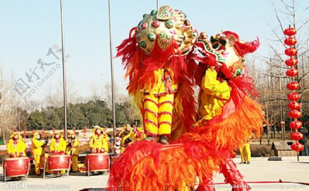 民间传统艺术舞狮图片