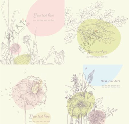 线描花卉唯美卡片唯美花卉图片