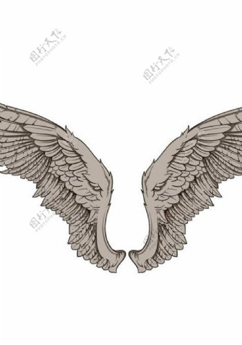 翅膀图案图片