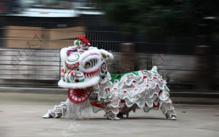 醒狮图片