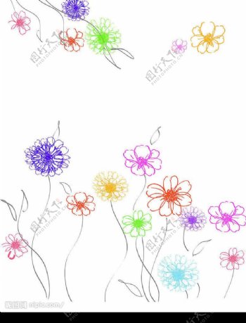 素雅线条菊花图片