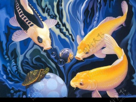精美奇妙的动物画鱼戏海底图片