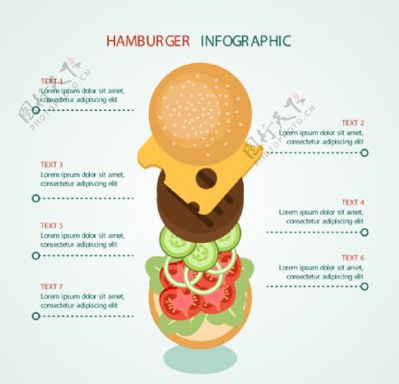 汉堡信息图表图片