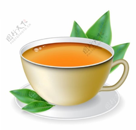 茶叶TEA图片