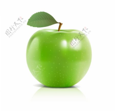 青苹果图片
