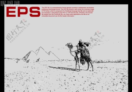 沙漠骆驼矢量剪影图片