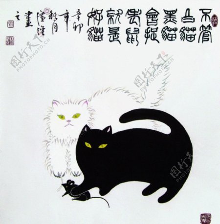 白猫与黑猫图片
