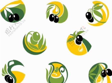 橄榄橄榄油图标图片