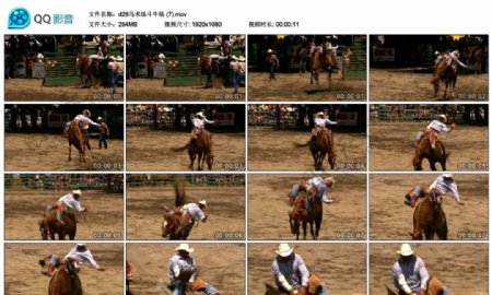 骑马比赛高清实拍视频素材
