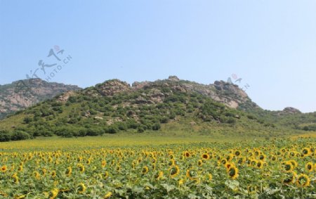 神山风光图片