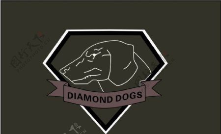 钻石狗图片