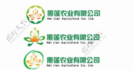 黑莲农业logo图片