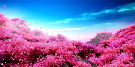 粉色桃花林