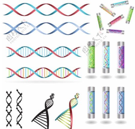 DNA生物科技图片