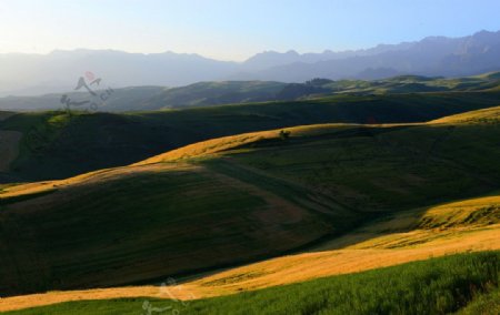 青山绿地图片