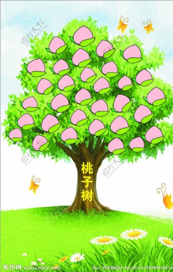 桃子树图片