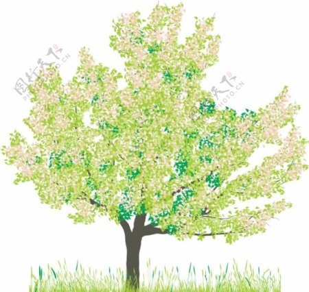 绿色花树图片