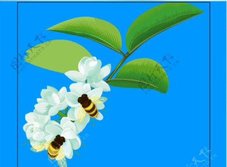 花朵上的蜜蜂flash矢量动画