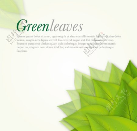 清新绿叶绿色环保背景图片