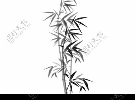 竹子生长的flash动画